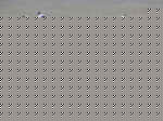 ibis 2.JPG (675786 Byte)